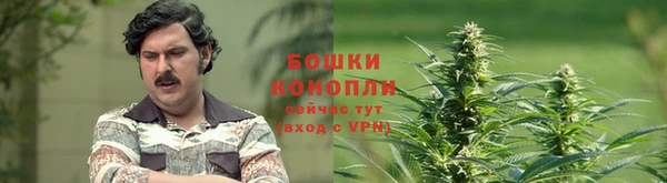 spice Балабаново